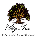 Big Tree Midarnd - B and B and Guesthouse and Venues